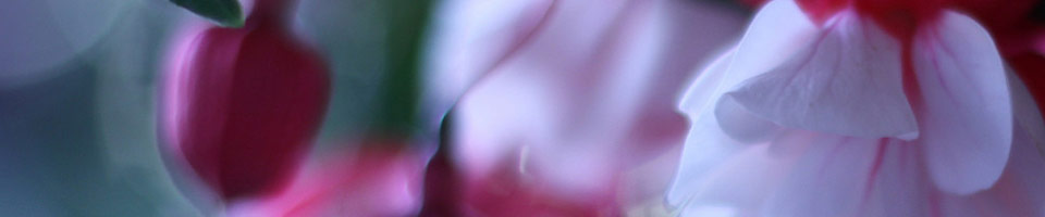 Photographe Mariage sur Marseille                 
